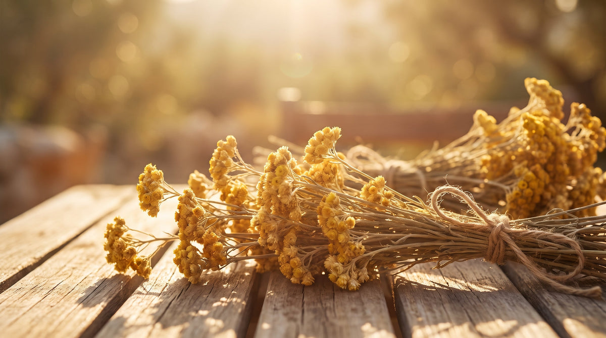 Immortelle in perfume: The scent of sun and hay